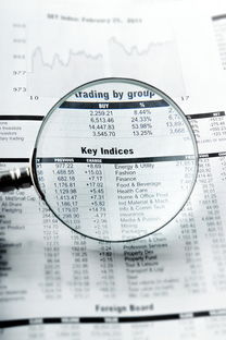 云南同志供卵选性别：nt值偏高风险大吗下一步检查什么？